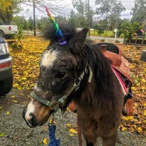 Meet your Posher, Kim